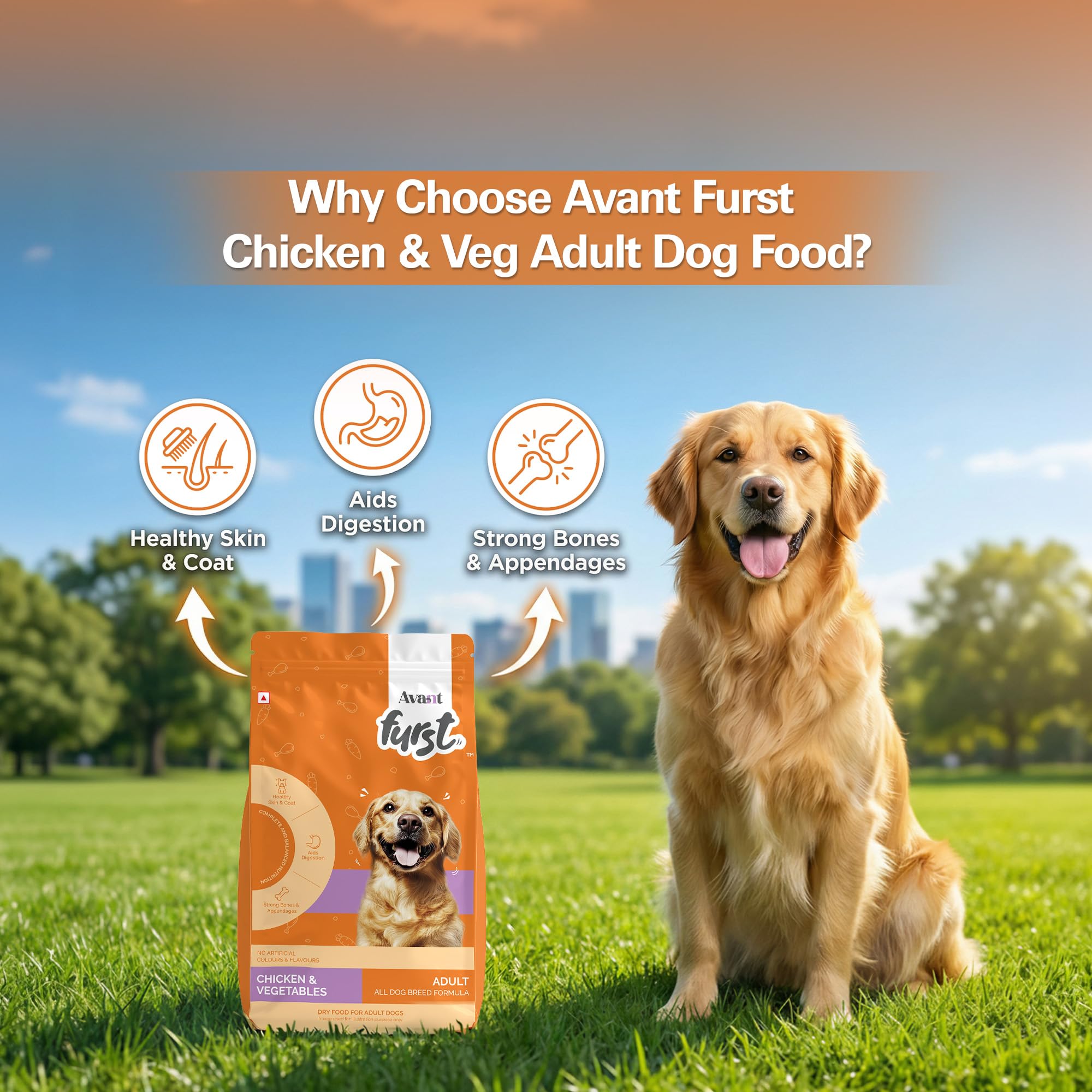 Avant Furst Adult Dry Dog Food Chicken & Vegetable | Dog Food Adult with Real Chicken Protein & Vegetables | Dog Dry Food for Daily Nutrition | No Artificial Additives | 2.8kg 3