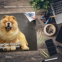 Vista 706 de Razas de Perros 2017