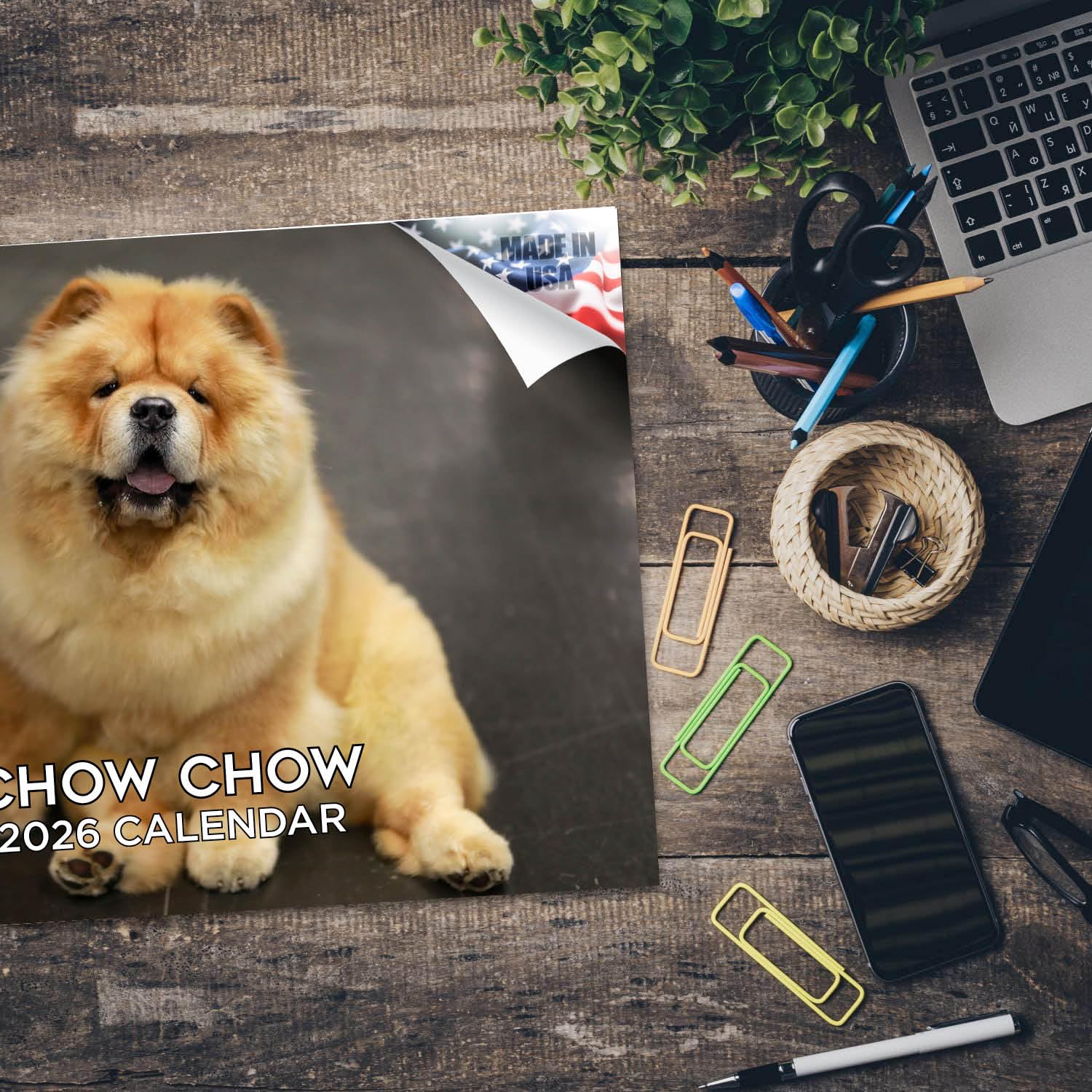 Calendario 2024 2025 Chow Chow – Calendario mensual de pared de raza de perro – 12 x 18 pulgadas abierto – Papel grueso que no se corre – Regalo – Calendario académico para profesores, organización y