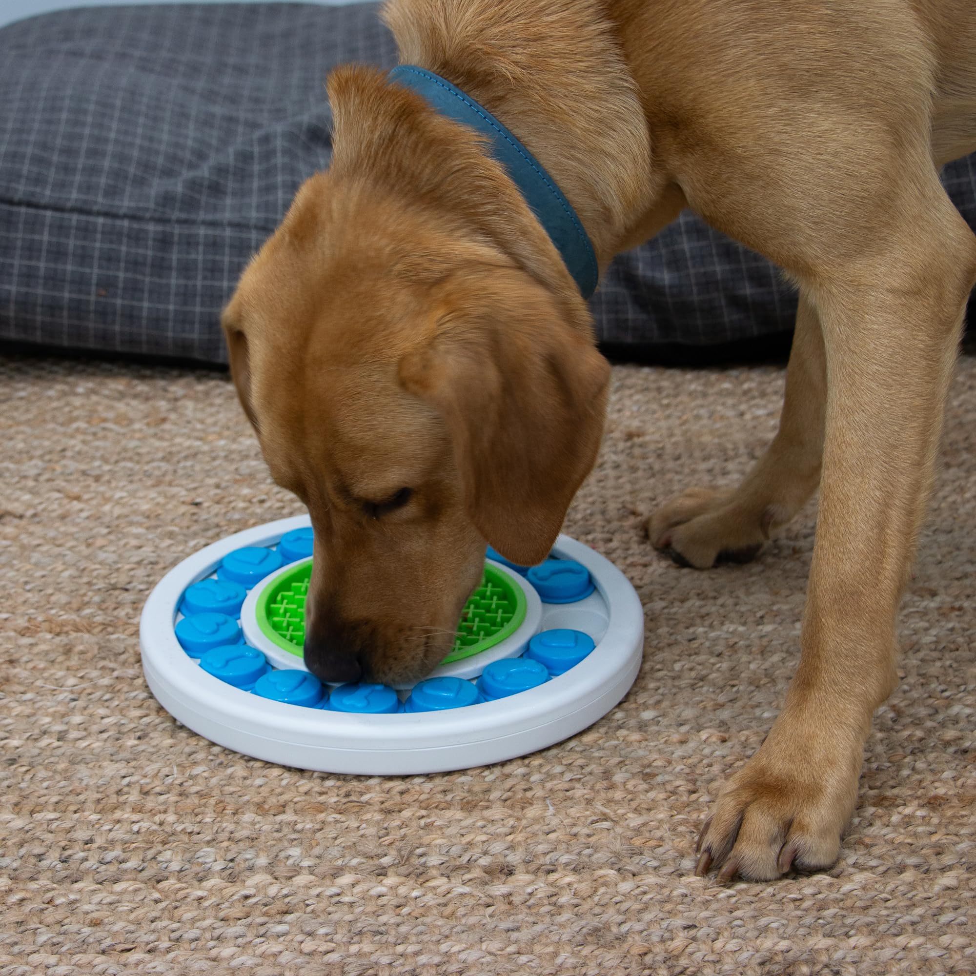 Ancol rva Puzzle Ring Interactive Dog Toy - Boredom Buster Brain Stimulating - Smell Training Foraging Toy Features Lick Mat - Image 2