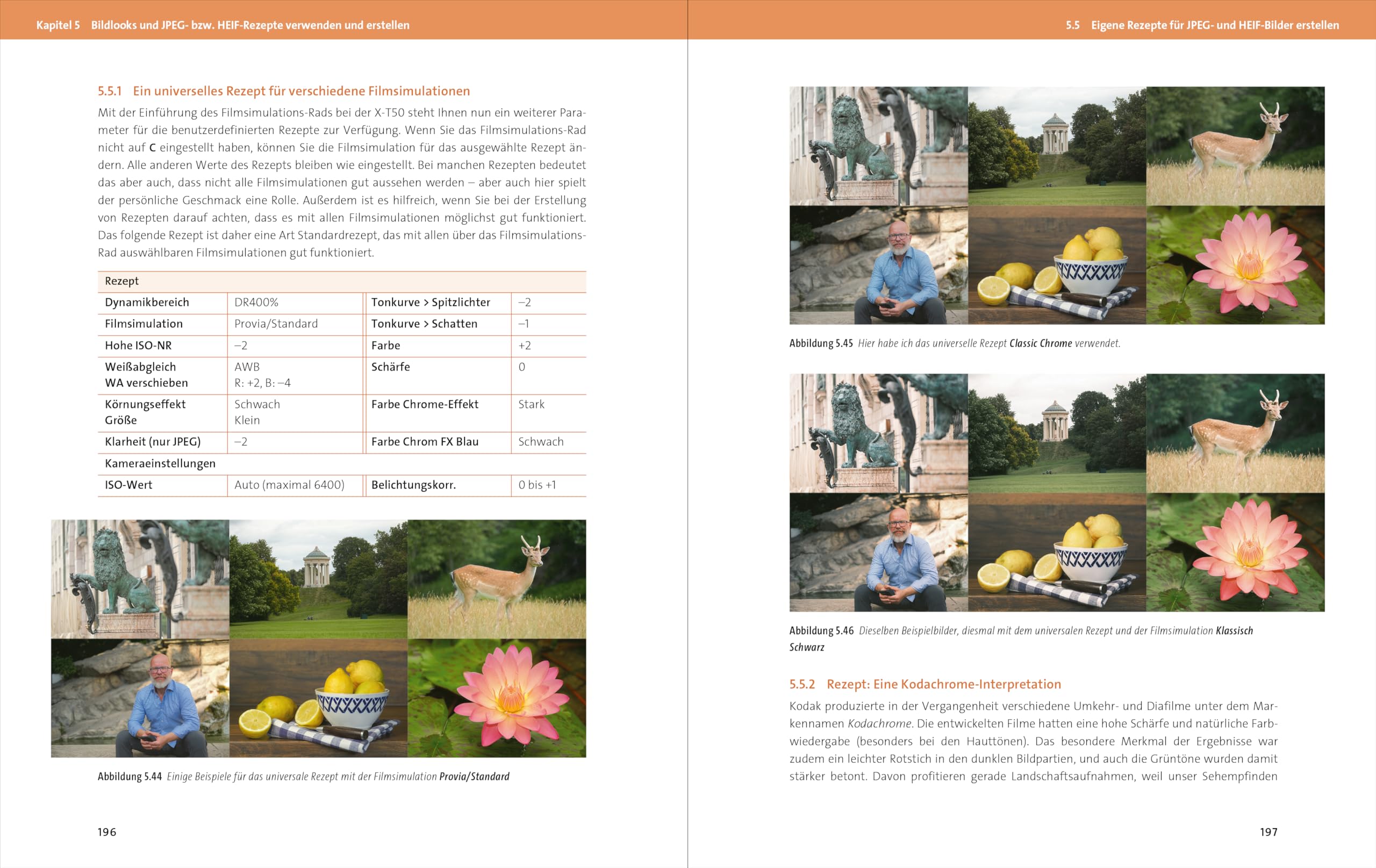 Fujifilm X-T50: Das Handbuch zur Kamera. Praxiswissen und Profitipps zu Ihrer X-T50