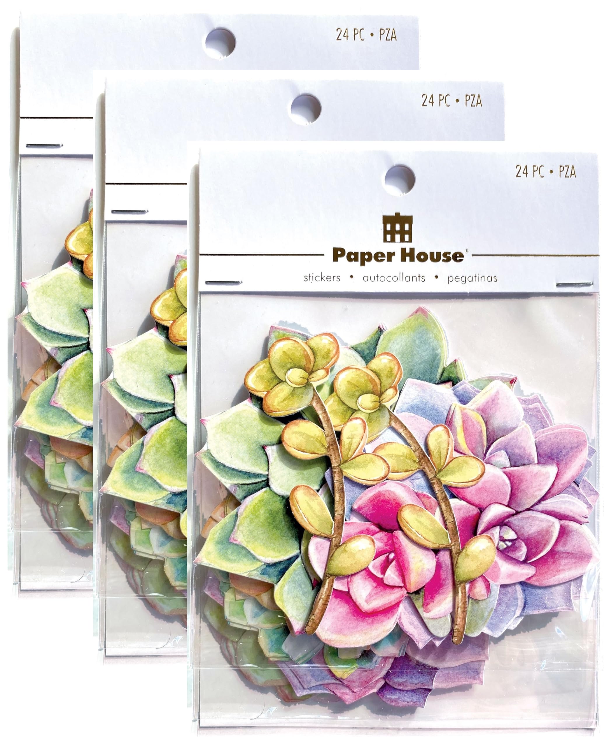 Autocollants découpés pour plantes succulentes Paper House Productions, lot de 3 stickers