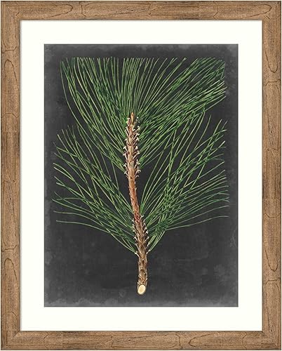 Miniatura 12 de Amanti Art Impresión artística enmarcada para pared, 44 x 36 pulgadas, dramático pino I de Vision Studio, arte de pared de naturaleza, decoración