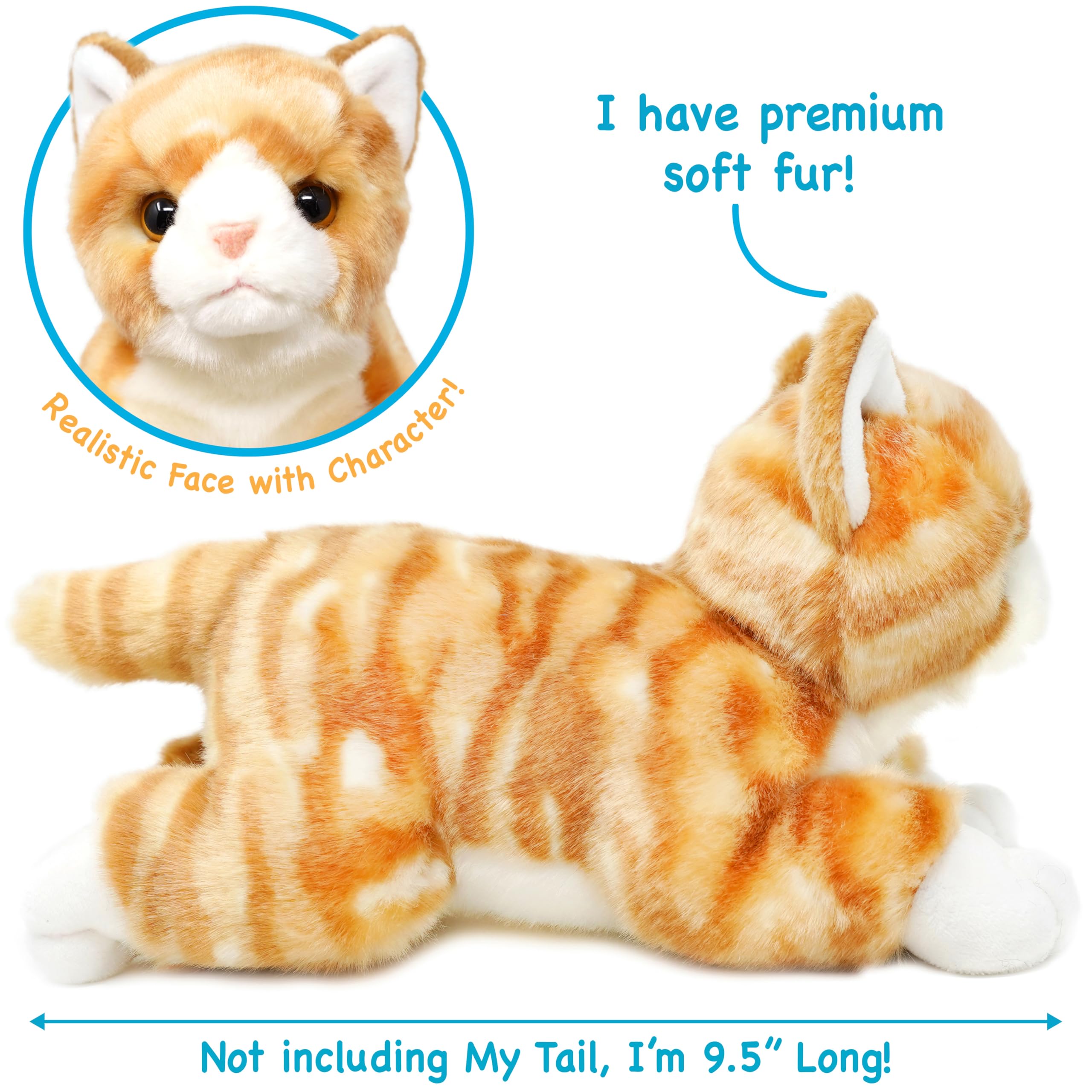 ■■ハーマン■■Tabby Cat/タビーキャット/猫/ねこ■■HERMANN 811ib3blP8L._UF350,350_QL50_.jpg