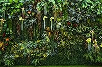 Vista 17 de Papel tapiz tropical de hojas de plátano verde, murales de plantas para dormitorio y sala de estar (no es autoadhesivo)