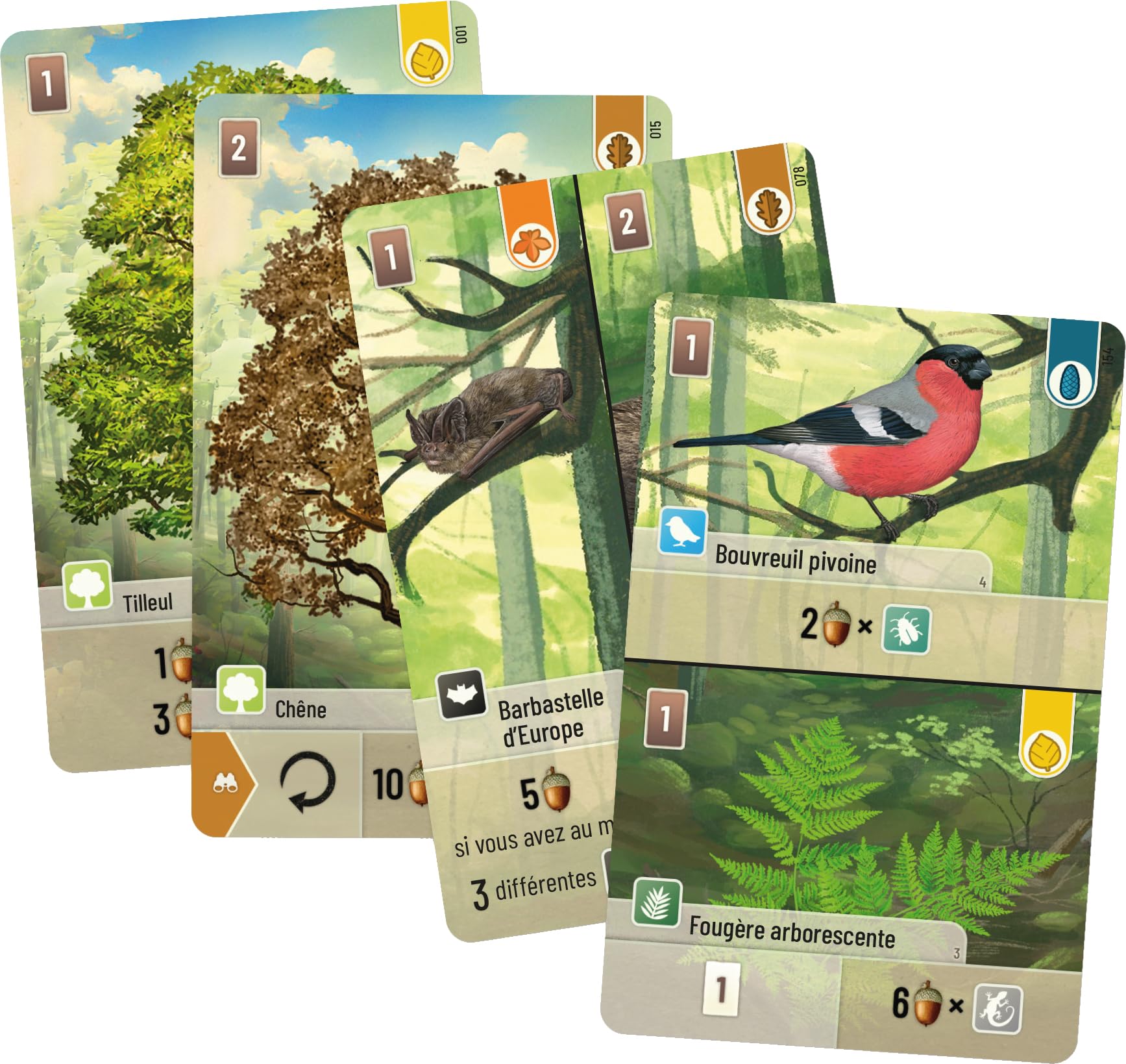Asmodee - Foret Mixte Jeu de Base - Jeu de Cartes Nature - 60 Min | Adultes Enfants dès 10 Ans - Jeu de Société Tactique - Créer Un Ecosystème - 2 à 4 Joueurs - En Français - Lookout Games
