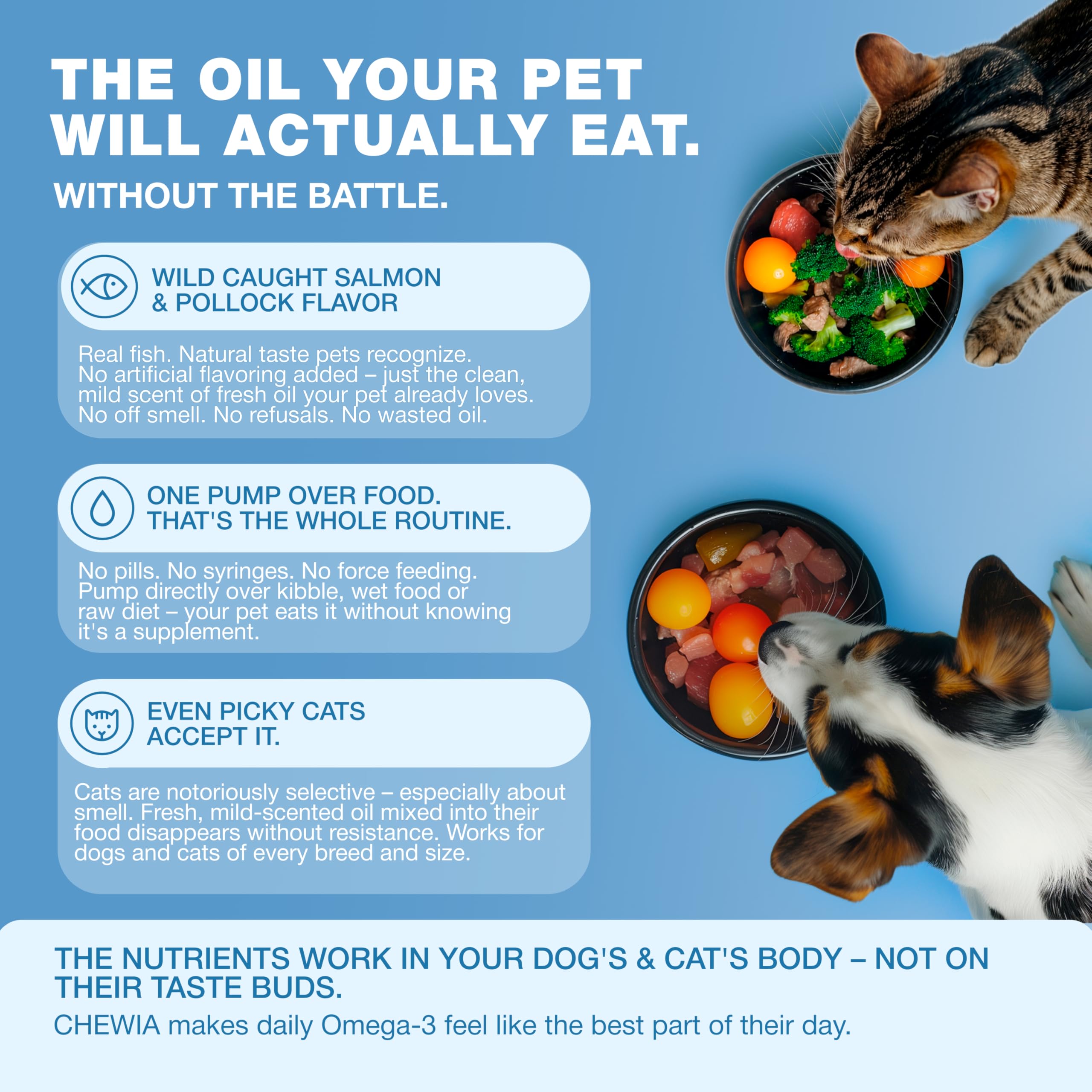 32oz Fish Oil for Dogs and Cats – Omega 3 Salmon Oil for Skin, Coat & Joint — Amazon image 8