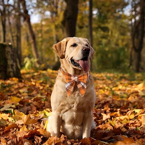 Miniatura 2 de ADOGGYGO Collar de otoño para perro con lazo, collar de moño para perro de Acción de Gracias, collar ajustable de algodón naranja con lazo para