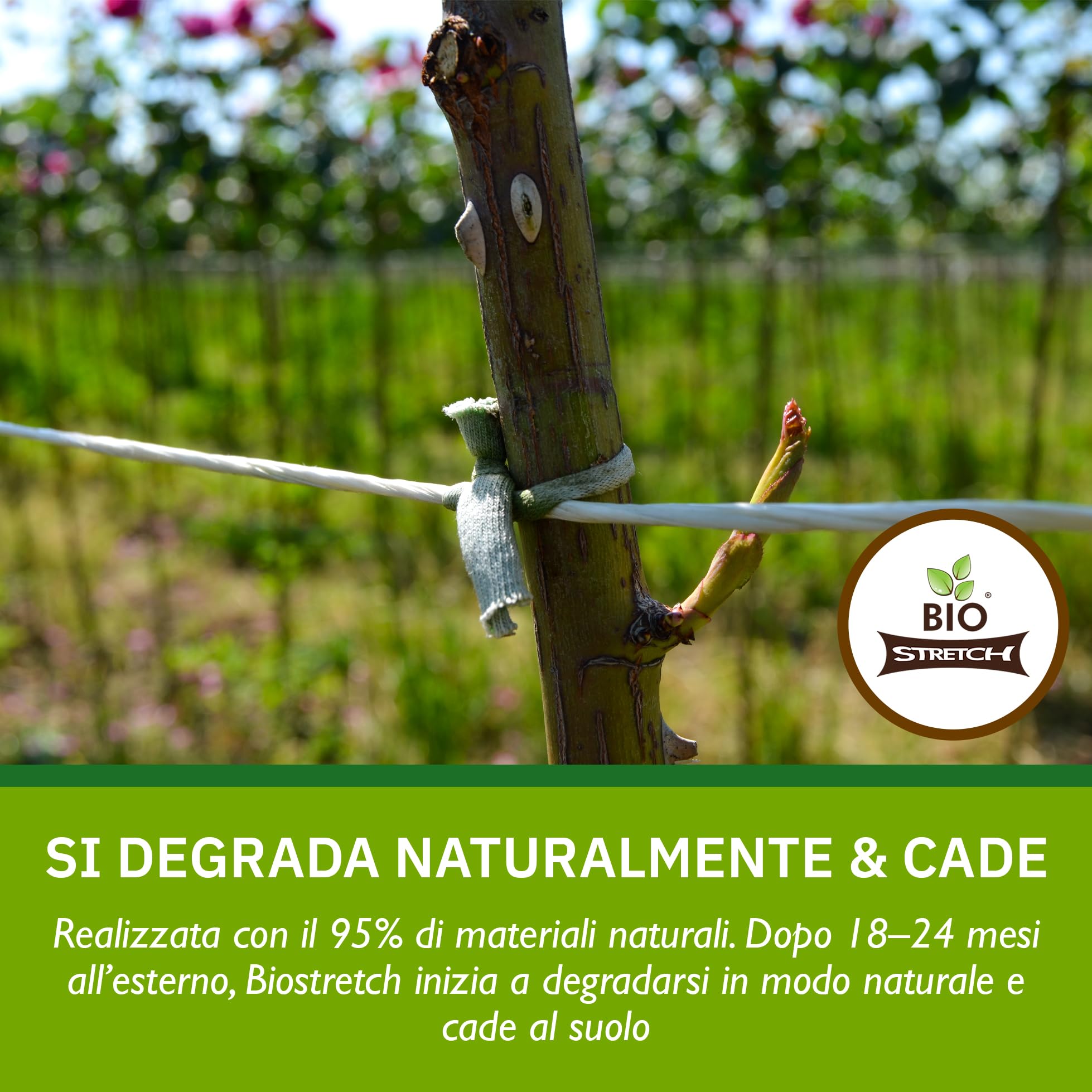 Bio-stretch Fascette da Giardino Morbide 20m Verde per Piante Rampicanti e Pomodori