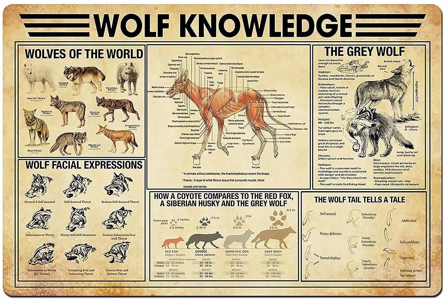 Metal Tin Sign Wolf Knowledge Metal Signs,Wolves Of The World Man Cave Wall Decoration Home Restaurant Cafe Bar Sign Outdoor Classic Signs 8X12 Inches