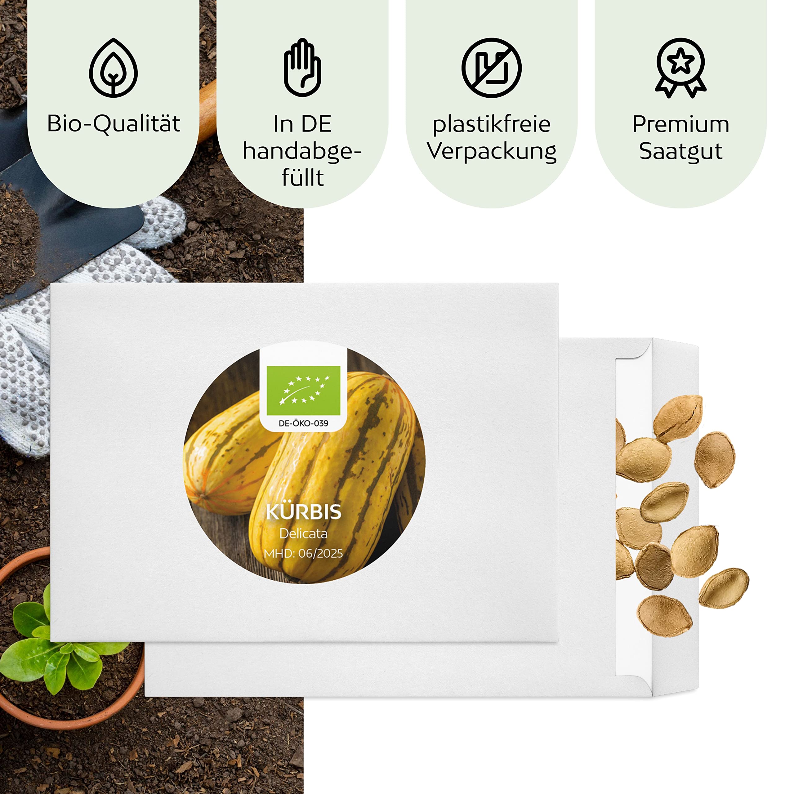 BIO Krbis Samen (Delicata, 6 Korn) - Krbis Saatgut aus biologischem Anbau  ideal fr die Anzucht im Garten, Balkon oder Terrasse : Amazon.de: Garten