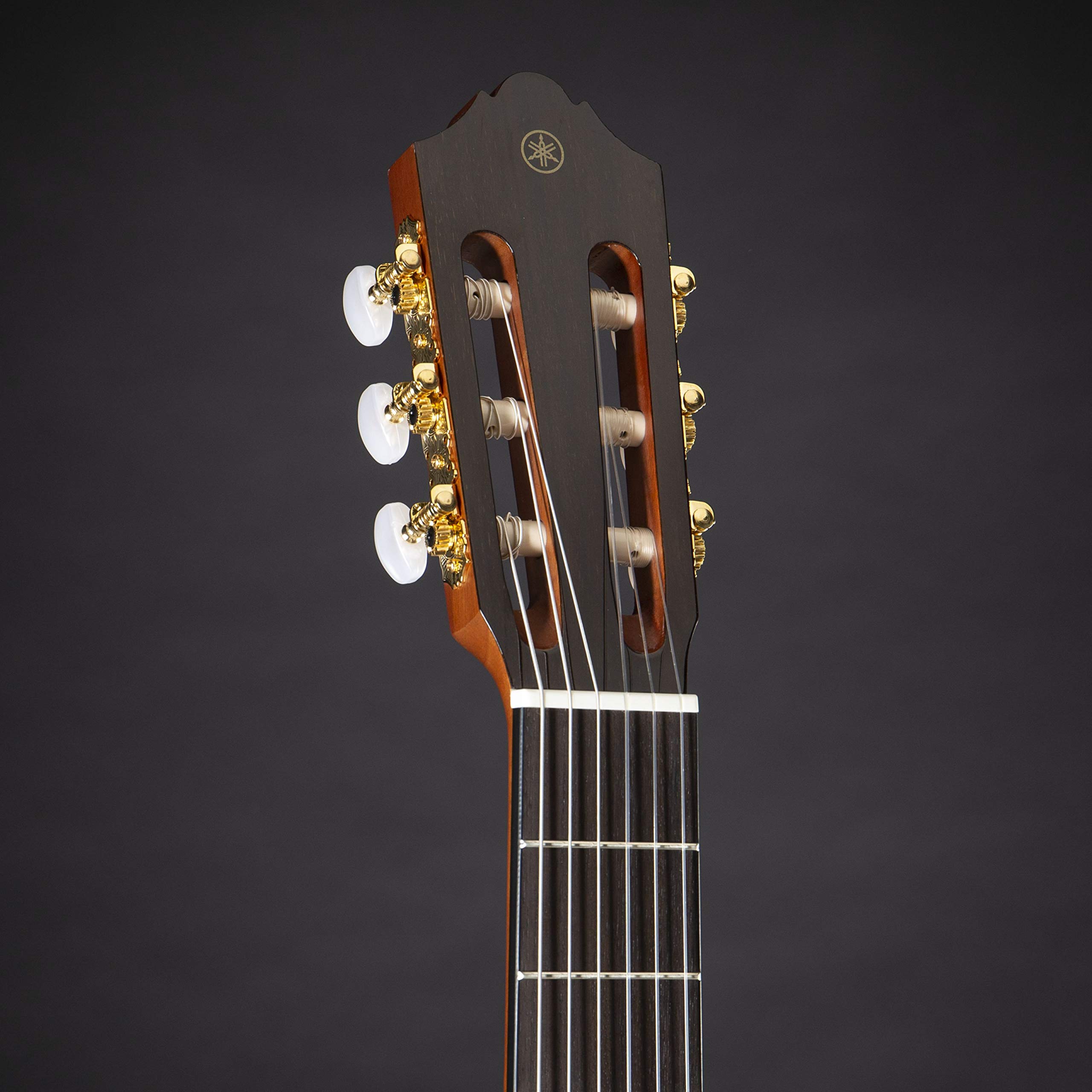 CG-TA Transacoustic - Chitarra classica 4/4