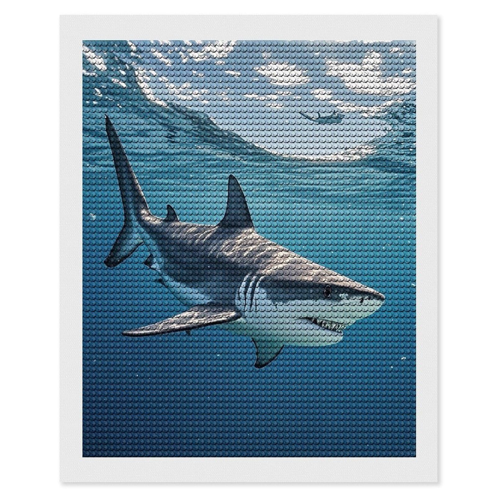 FekiLoot Ocean Sea Animal Shark Diamond Painting Kits for Adults Full Round Drill Diamond Art Kits for Beginners 5D DIY Diamond Dots Paintings Diamonds Pictures Gem Art Home Wall Decor 16"x20"