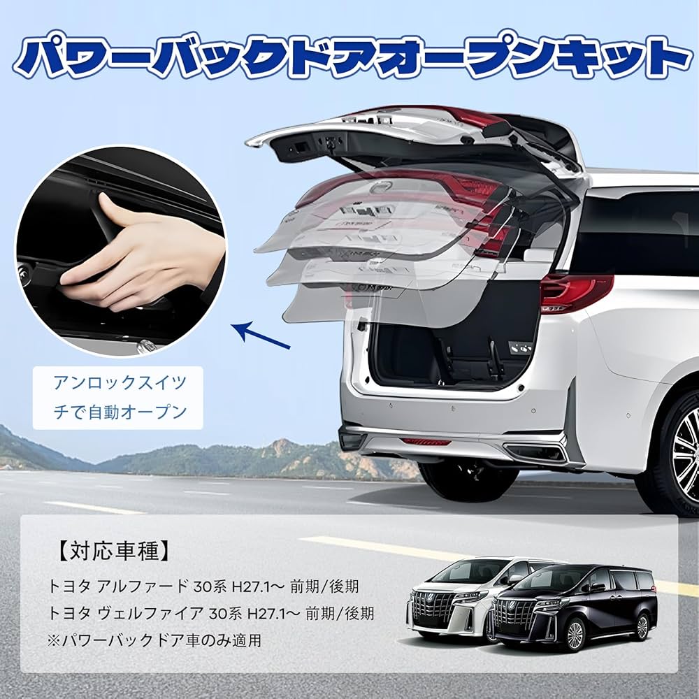 リーナミック　 アルファード　　直接引き取り限定　30系 リーナミック アルファード 直接引き取り限定 30系 リーナミック