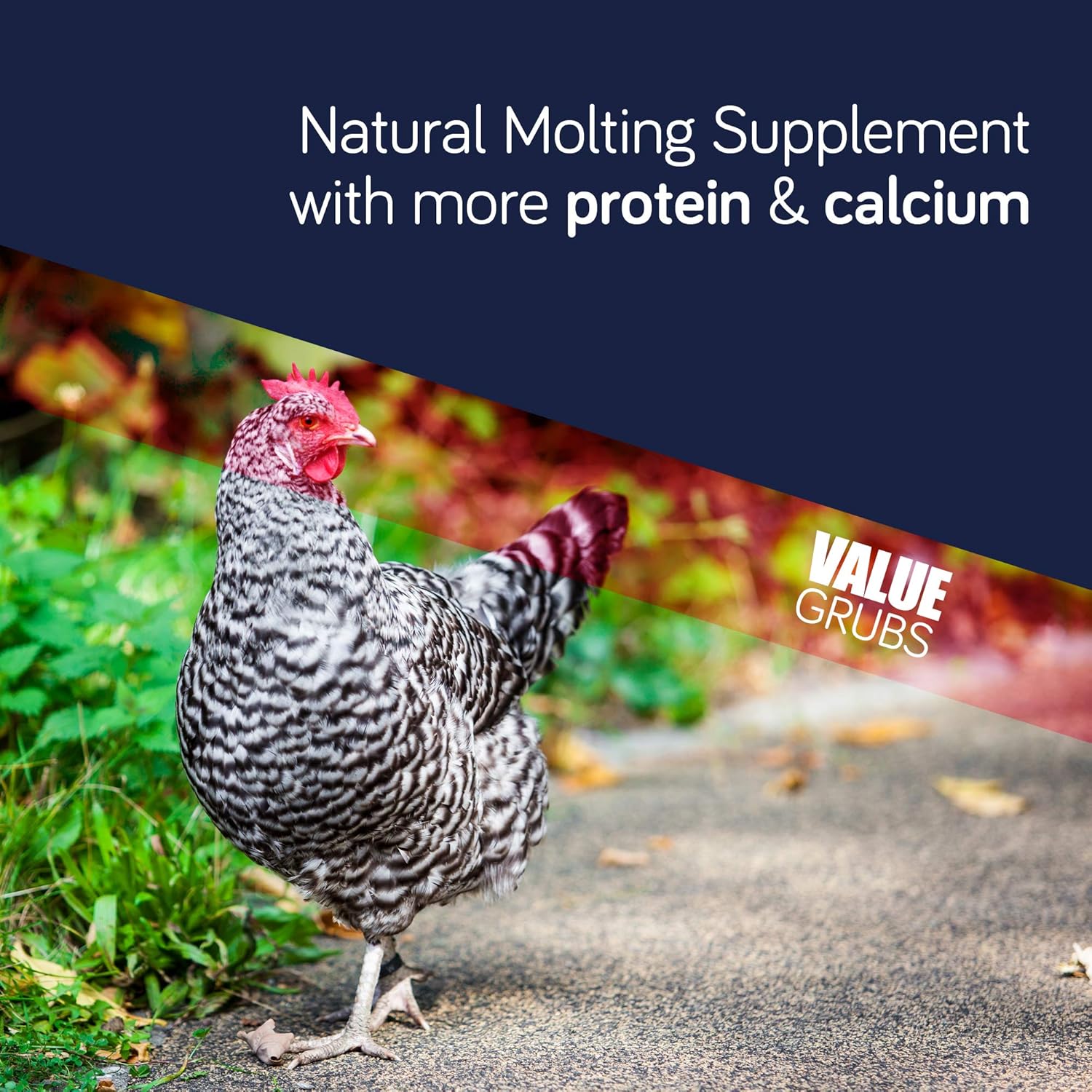 Value Grubs 4 lbs - Better Than Dried Mealworms for Chickens - Non-GMO & 75X More Calcium Than Meal Worms - Chicken Feed & Molting Supplement - BSF Larvae Treats for Hens, Ducks, Birds : Patio, Lawn & Garden