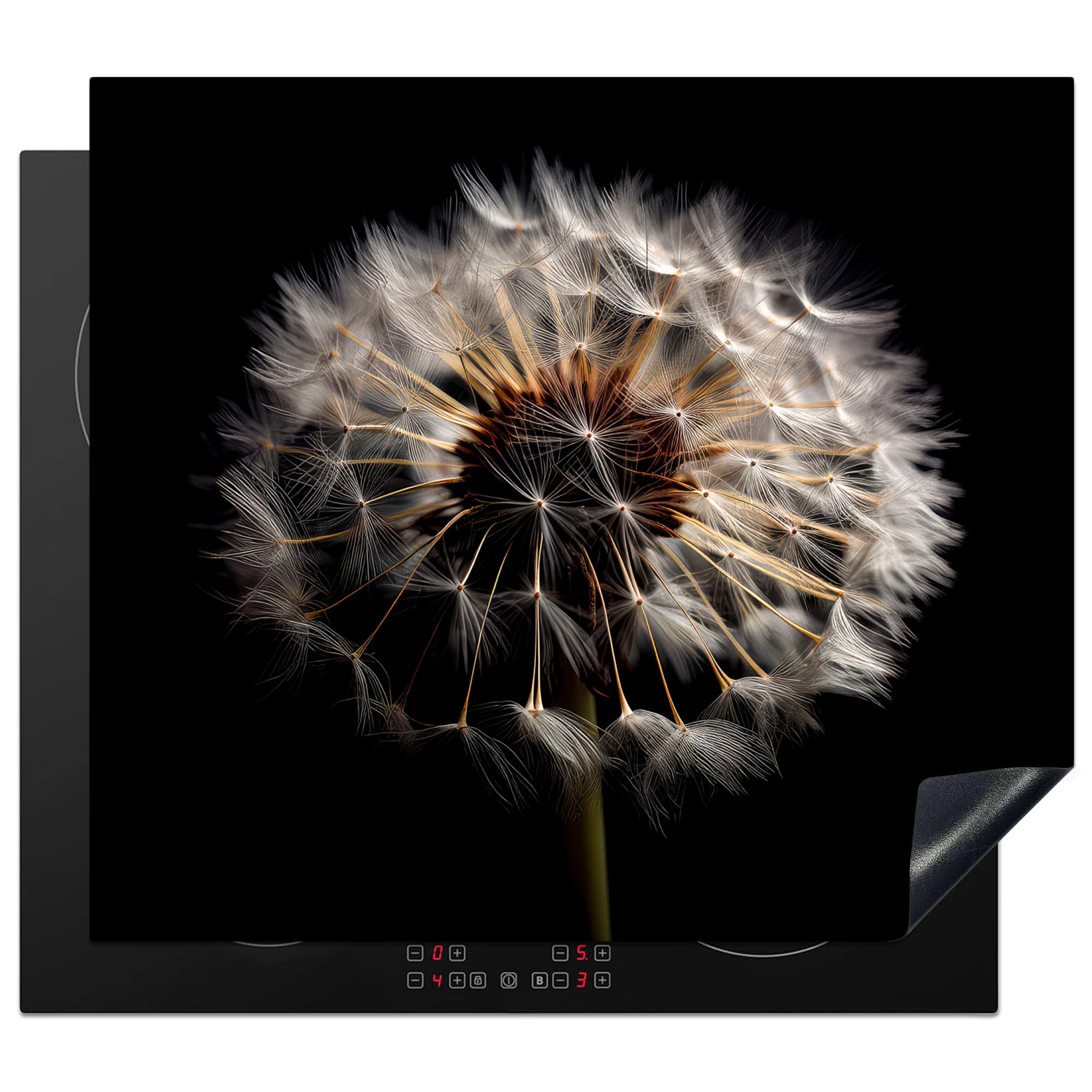 KitchenYeah© Herdabdeckplatte Einteilig Ceranfeld Abdeckplatte Küche Deko Ceranfeldabdeckung Herdabdeckung Induktionsmatte Blumen - Natur - Löwenzahn - Schwarz und Weiß - Pusteblume - 58x51 cm