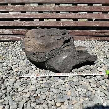 浅間　溶岩石　165キロ　庭石　鑑賞石　石　庭　坪庭　ガーデニング　置物 浅間 溶岩石 台石 155キロ 庭石 石 鑑賞石 庭 坪庭 ガーデニング