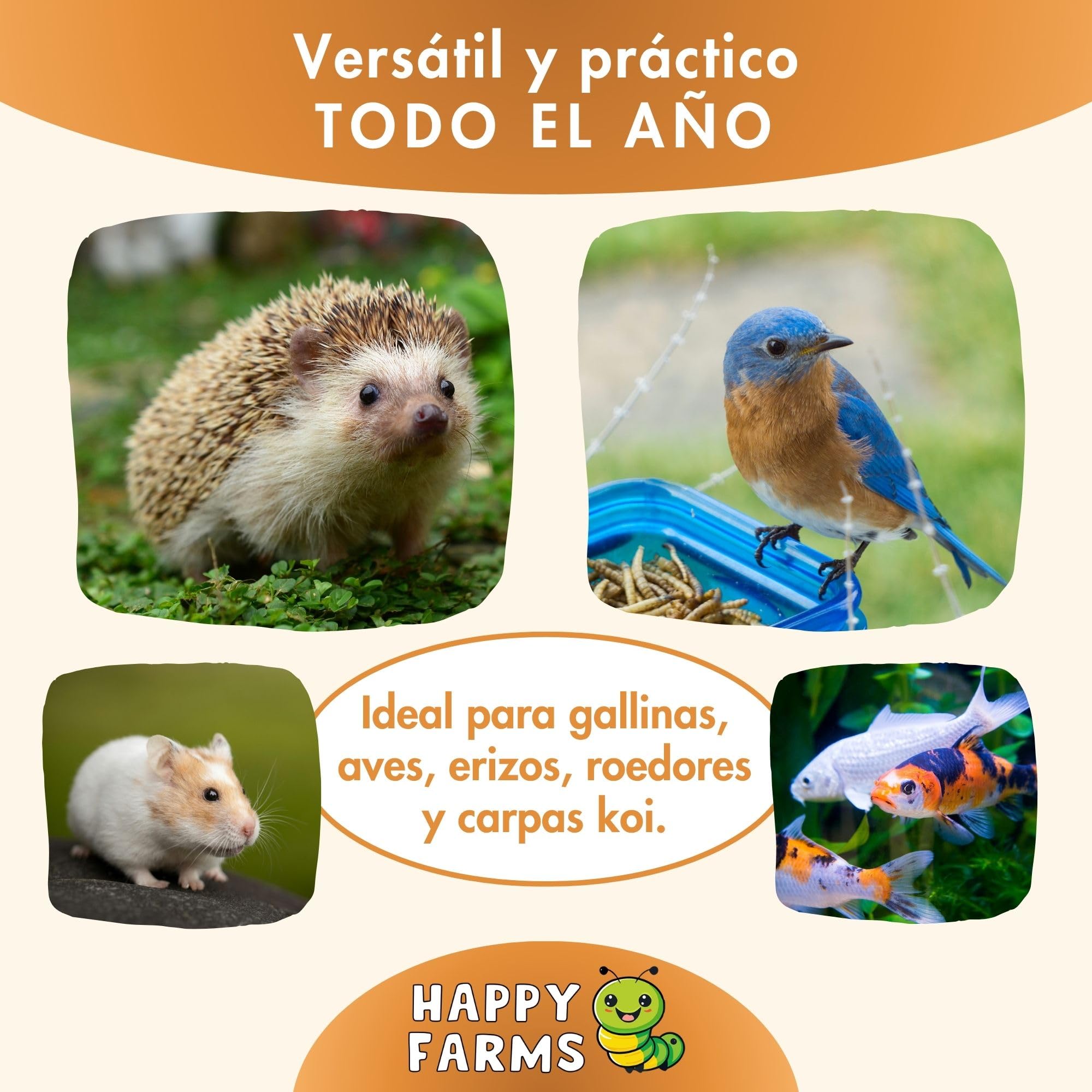Gusanos de la Harina Deshidratados 10 kg – para Erizos, Pájaros y Gallinas – Ricos en Proteínas
