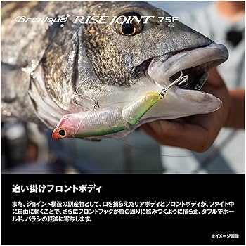 RISE ライズビックジョイント つり具の上州屋 - あなたのフィッシング＆アウトドアライフを