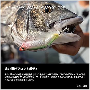 RISE ライズビックジョイント RISE ライズビックジョイント つり具の上州屋 - あなたの