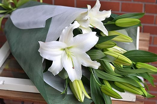 Amazon Hanalabo特選オリエンタル系15輪以上 ホワイトリリー カサブランカ シベリア ご用途に合わせたラッピングをご用意しております 花束 オンライン通販