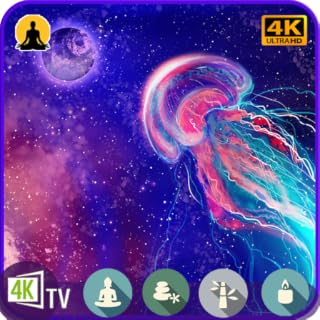 Tranquil Jellyfish Aquarium Sounds 🐠: Relaxing Music for Sleep, Meditation, and Focus For Fire - Screensaver TV No Ads
