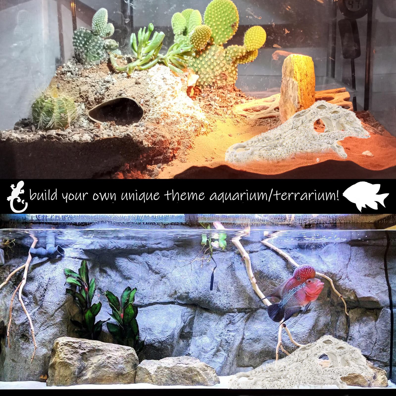 View 5