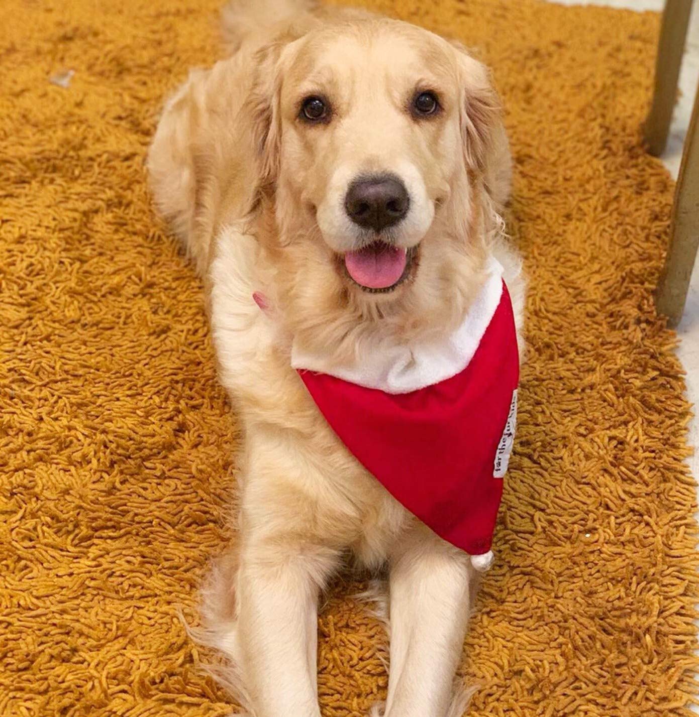 For The Fur Kids Christmas Red Bandana for Pets; Santa Claus Dog Bandana (B081K3N191) Amazon Price History, Amazon Price Tracker