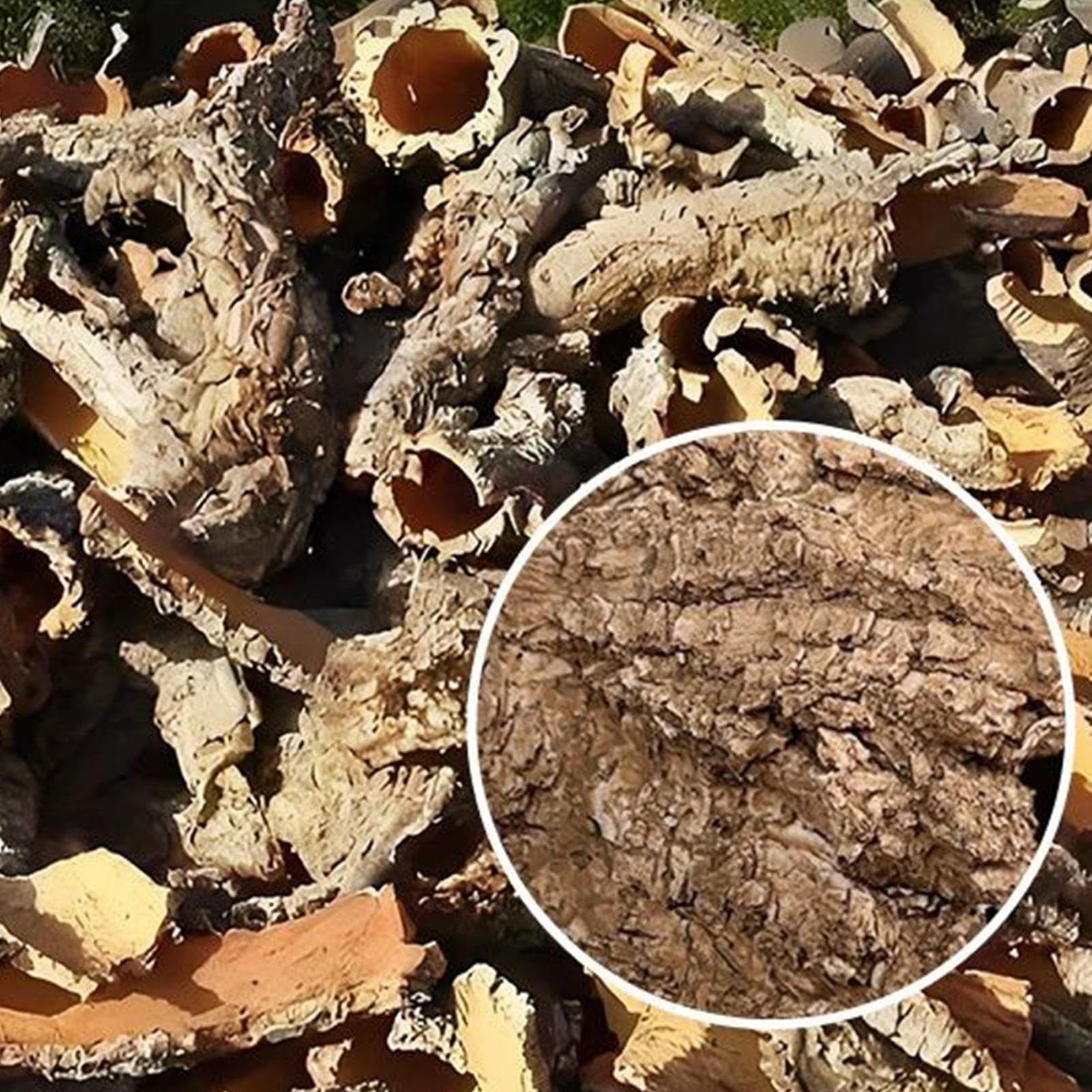 Casa Del Rospo Rifugio Per Animali In Resina A Forma Di Caverna | Terrazza Di Riposo Per Tartarughe Per Acquario Vasca Draghi Barbuti Leopardi Rane Gechi Rettili Anfibi