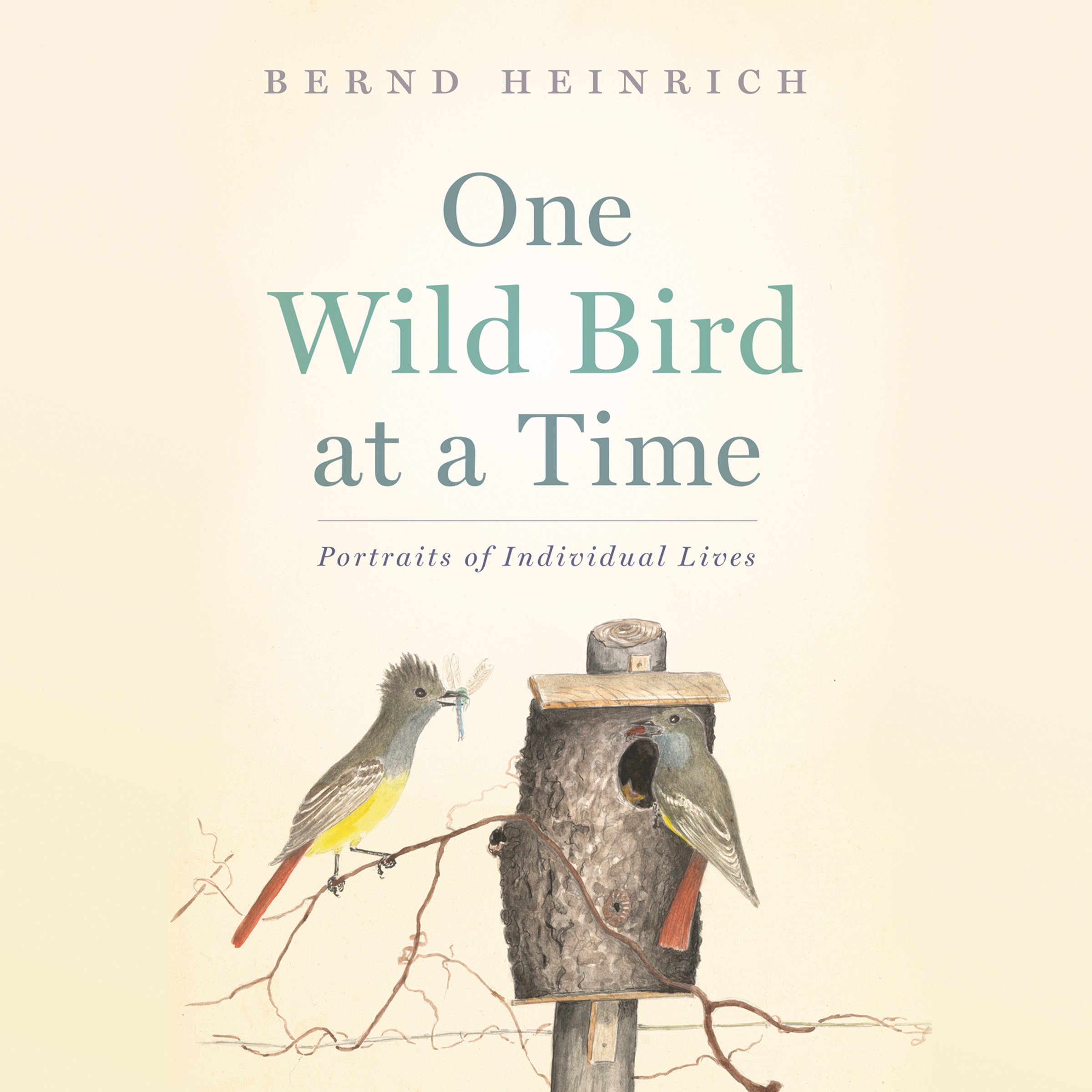 Cover art for One Wild Bird at a Time