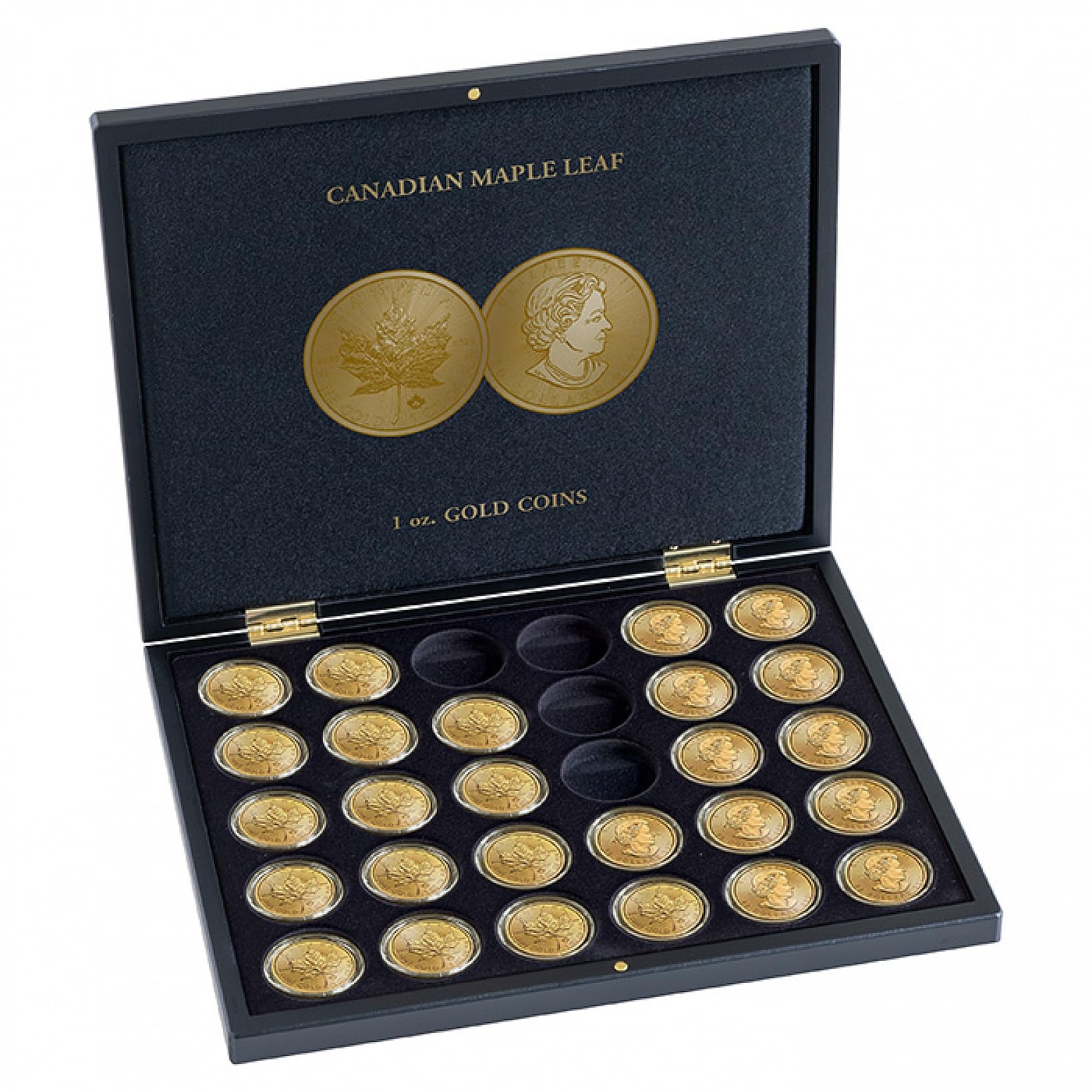 Leuchtturm Münzkassette Münzbox für 30 x 1 Oz Maple Leaf Gold Münzen 365159 World ofd Coins