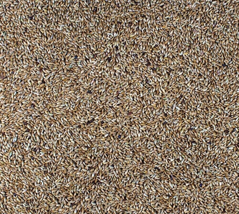 Johnston & Jeff 1kg Plain Canary bird seed food sold by Trusty Pet Supplies