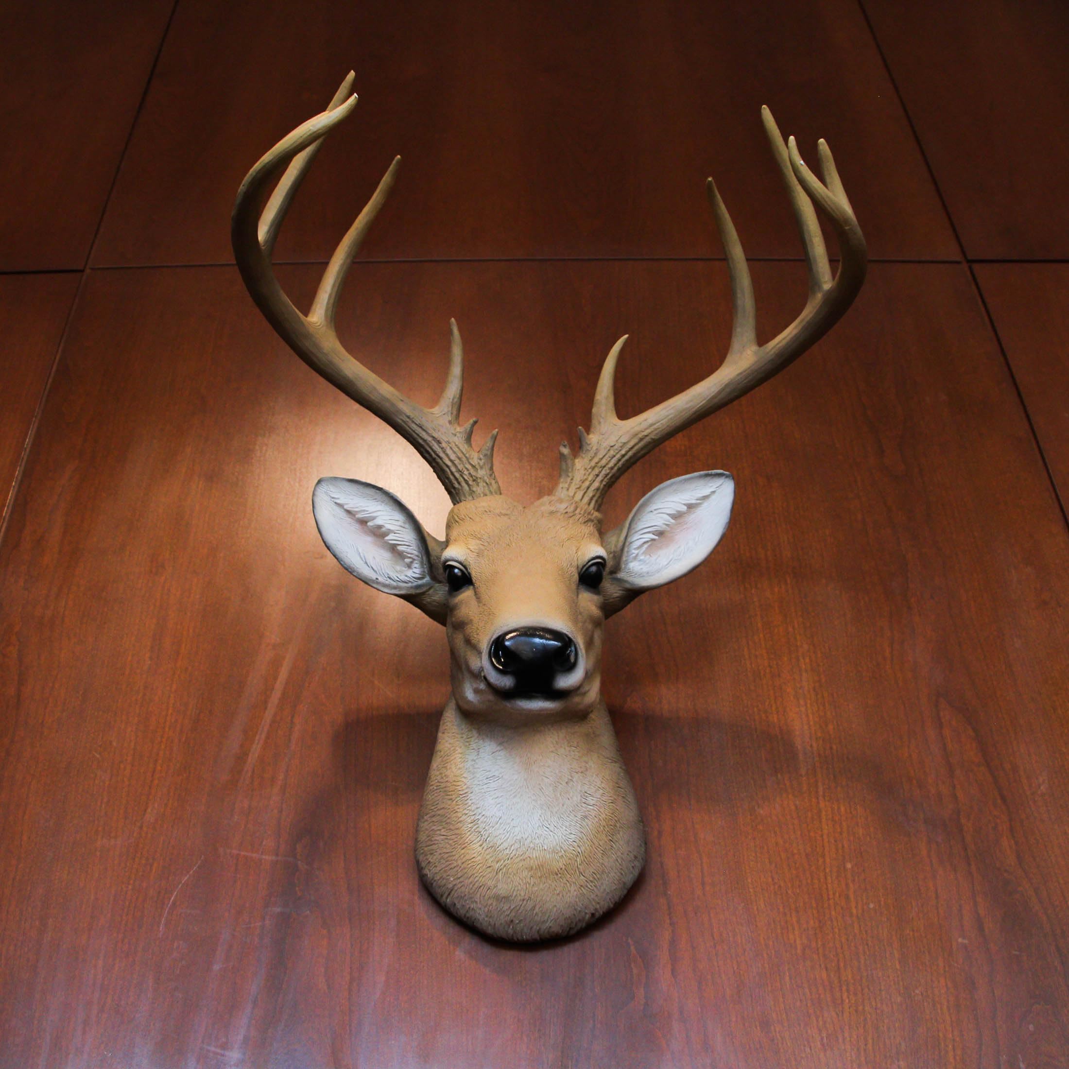 Amazon.com: Zeckos 12 Point Buck Deer Head Bust Resin Wall