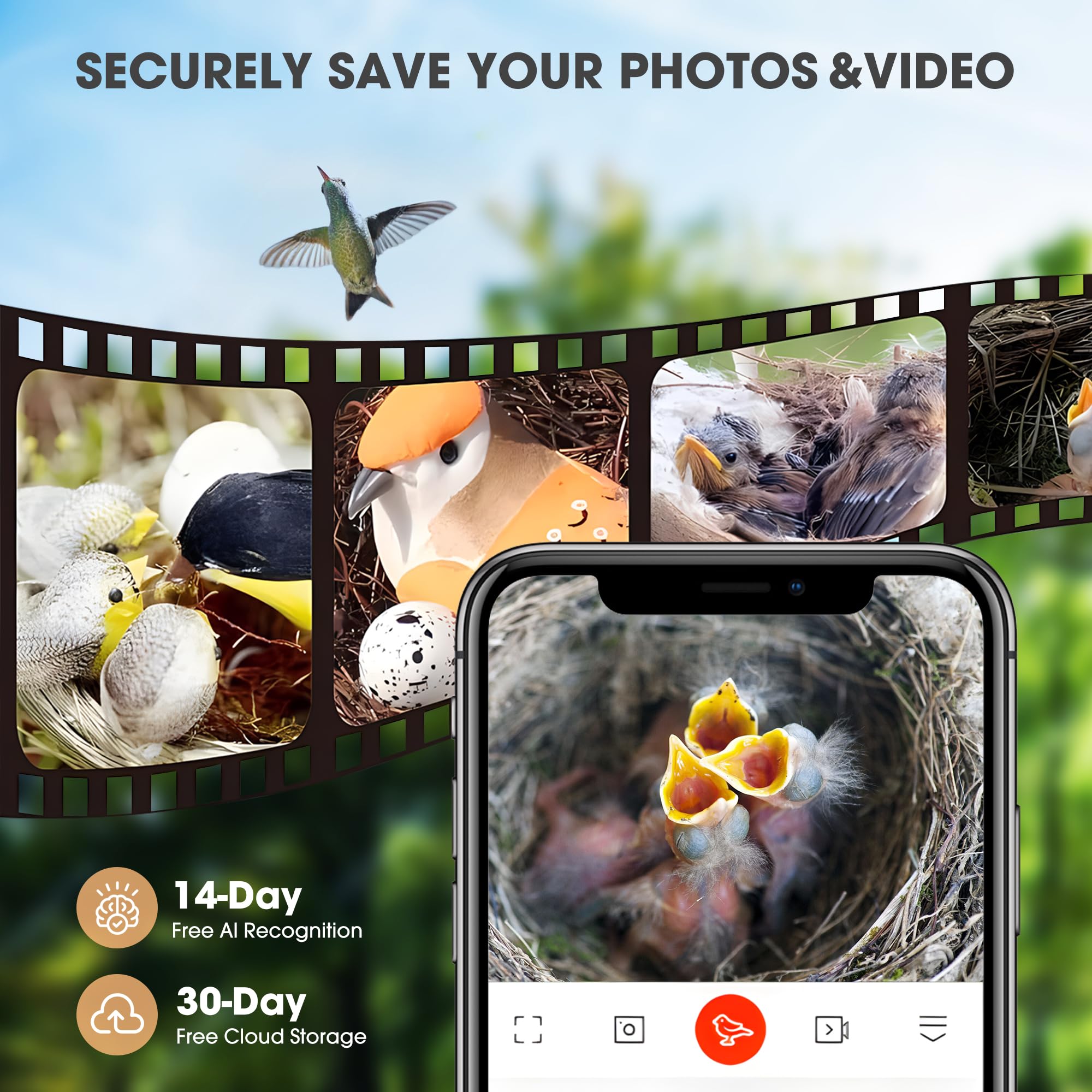 Intelligentes Vogelhaus mit KI-Identifizierungskamera, 1080P Vogelhaus-Kamera solarbetrieben, Vogelhäuser für außen schalten automatisch auf Nachtsicht um, 2,4 G WiFi-App zur Beobachtung von
