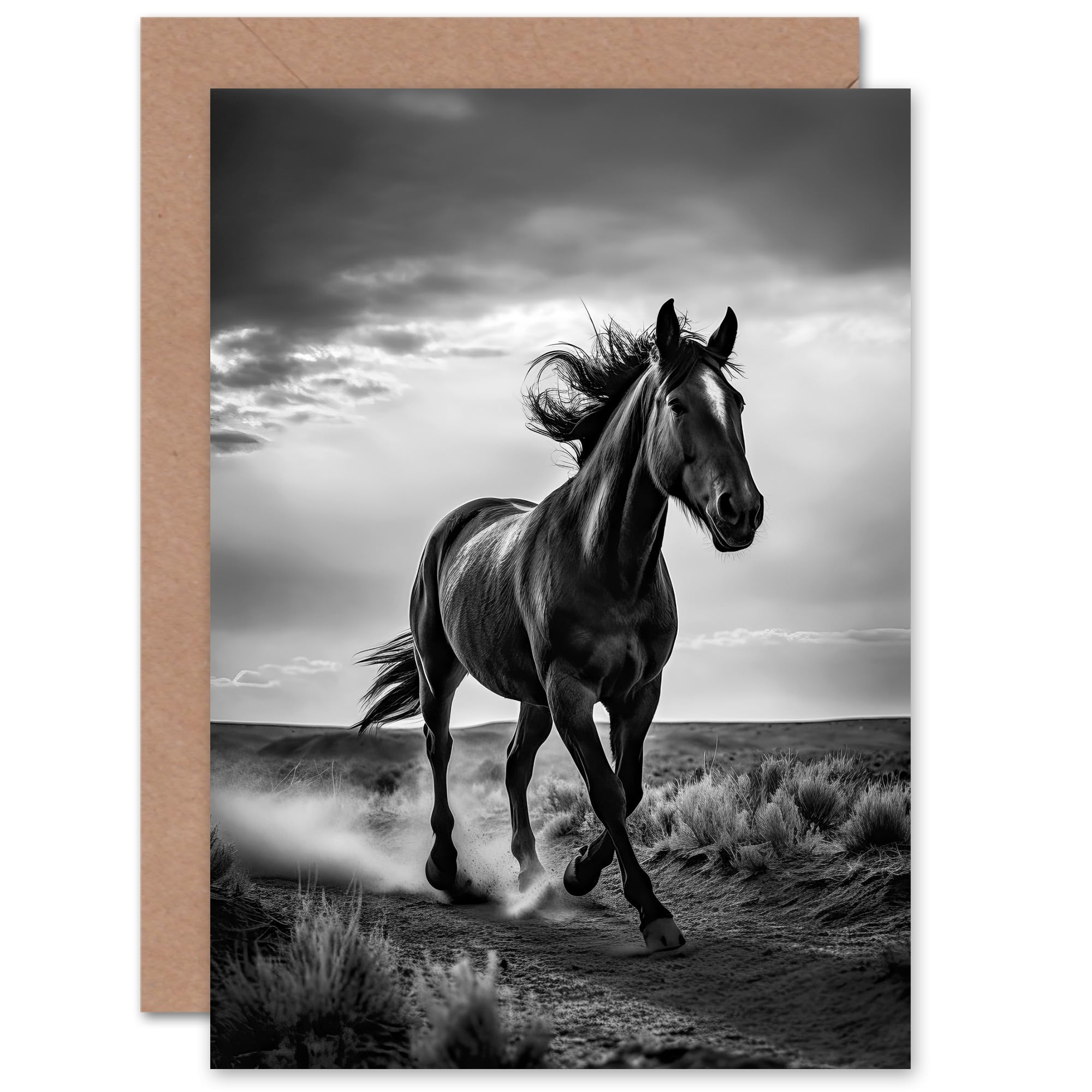 Desert Horse B&W Equine Lover for Him or Her Birthday Blank Greeting Card