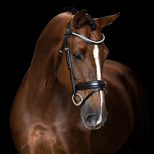 Imperial Riding Zaumzeug IRH, kombiniertes Reithalfter mit ergonomischem Genicks