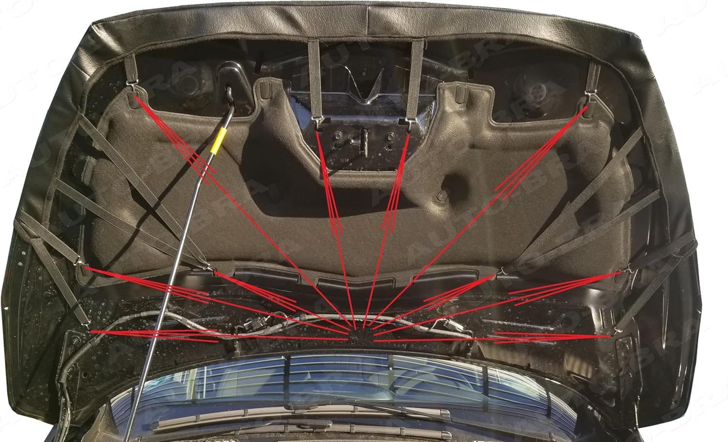 AB3-00494 Carbon Fiber Look Hood Bra Compatible with Ford C-MAX Since 2015 Front End Nose Mask Bonnet Bra