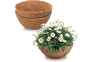 Natural Coco Liners for 12 Inch Round Hanging Baskets