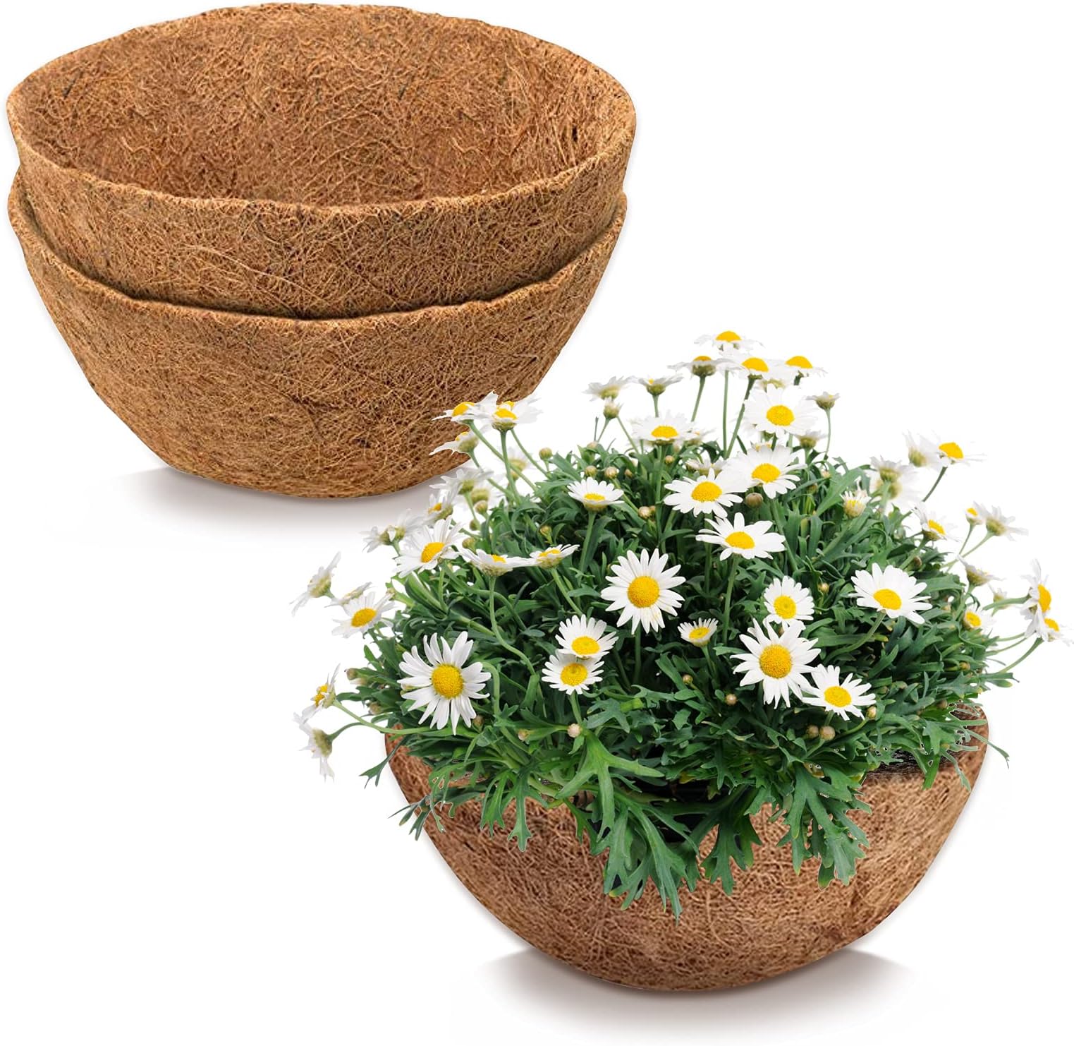 Round Coco Liner for Hanging Basket, 2 Pack 10 Inch Natural Coconut Coco Fiber Planter Basket Replacement for Hanging Basket Flower