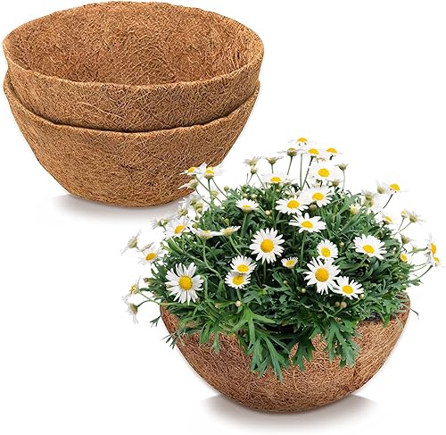 JISON21 Forro redondo de coco para cesta colgante, paquete de 2 cestas de fibra de coco natural de coco de 12 pulgadas de repuesto para cesta
