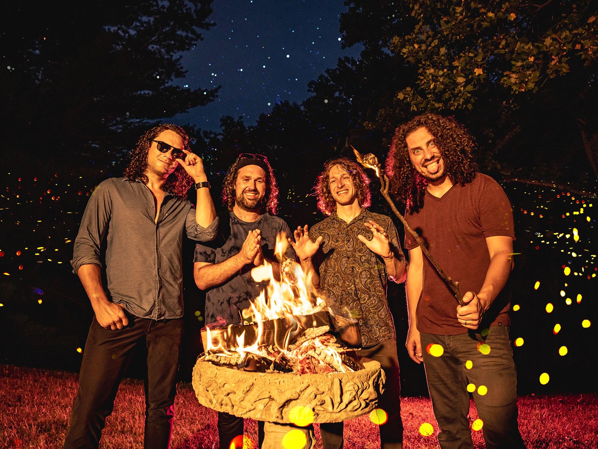 Pigeons Playing Ping Pong