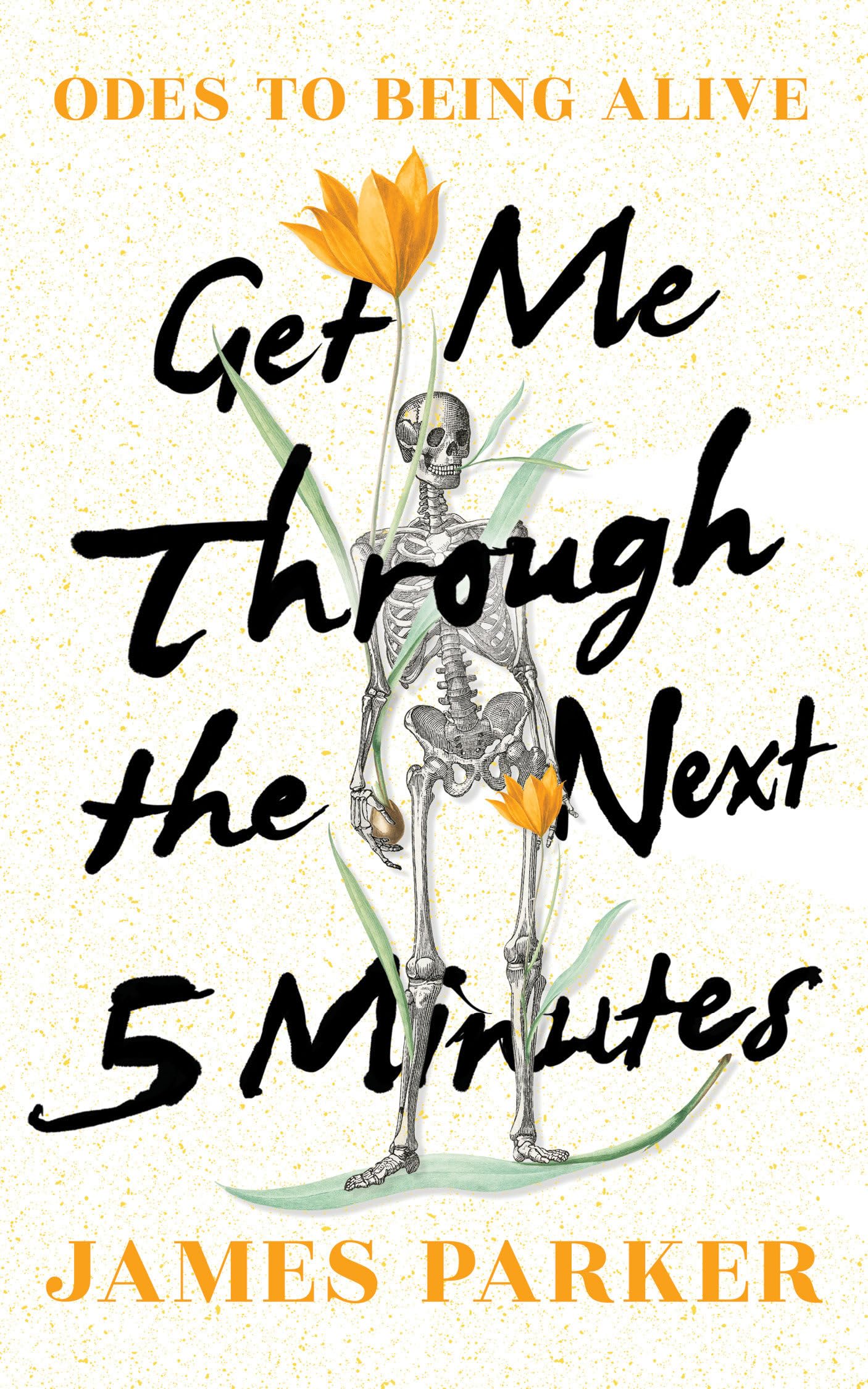 Get Me Through the Next Five Minutes by James Parker HARDBACK 9781324091639