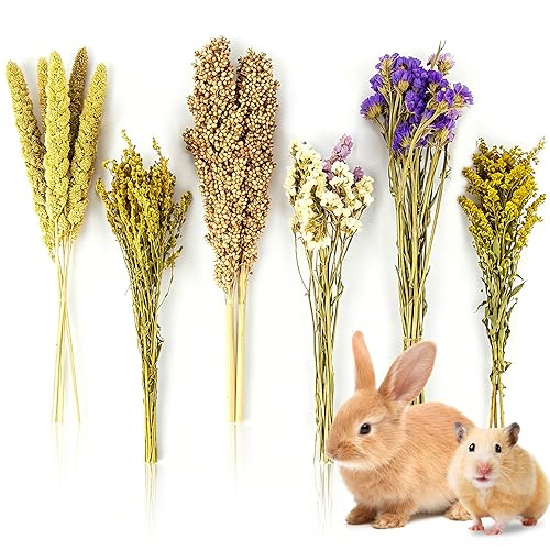 Sukh Natural Hamster Bedding Sprays - Foraging Habitat Decor Cage