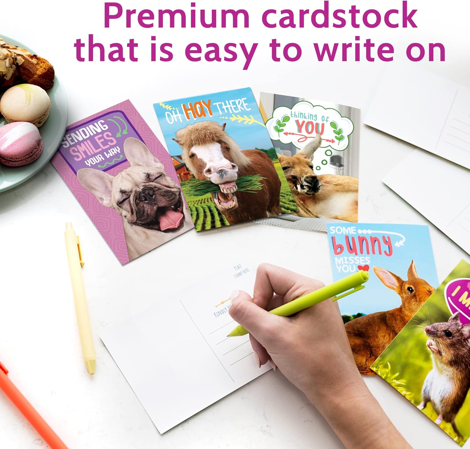 T MARIE 40 Funny Animal Postcards - Bulk Thinking of You Postcard Pack for Kids, Students, Friends, Teacher and More - Say Hello, Thank You or I Miss You with Cute Note Cards - Image 5