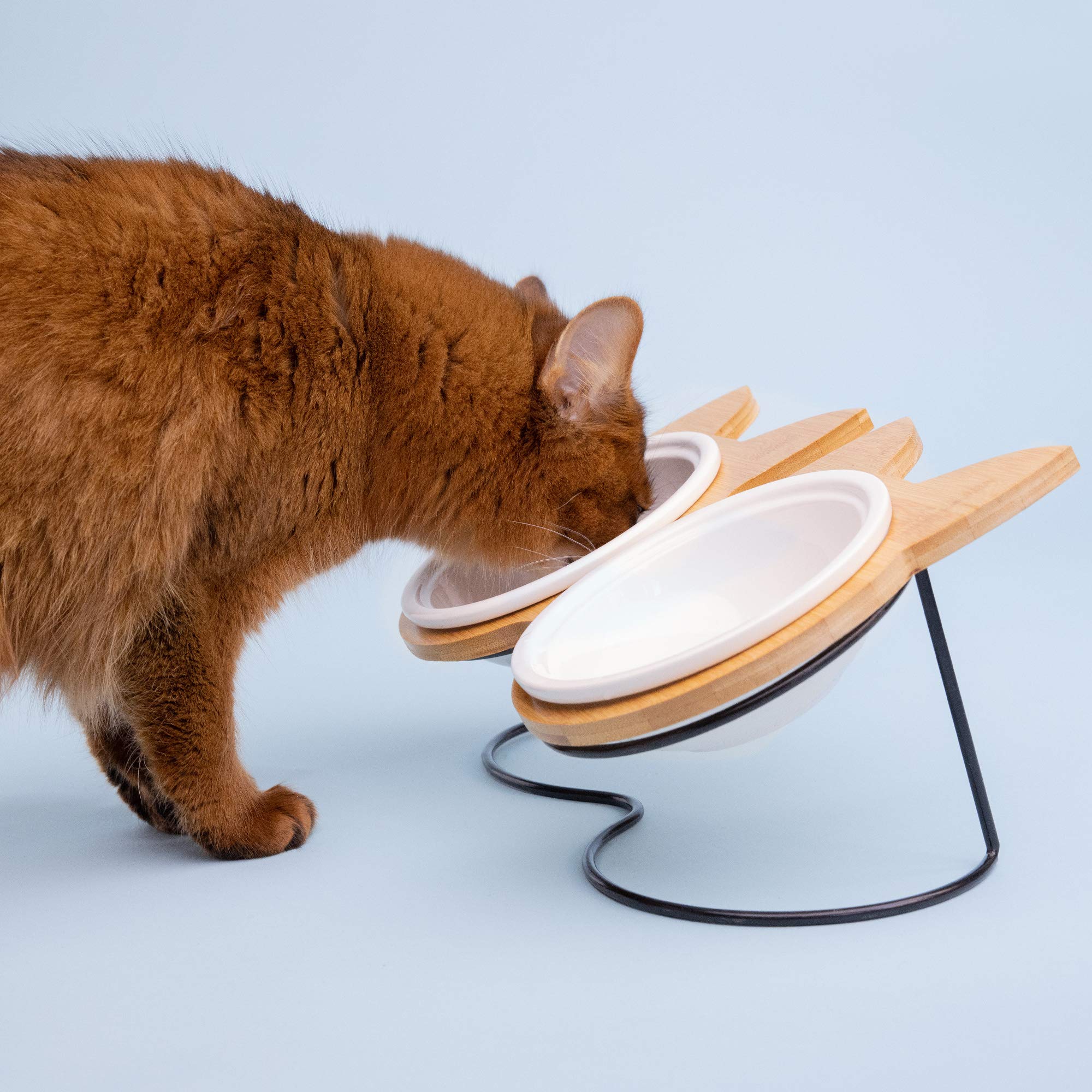 Navaris Futternapf Katze mit Bambus Halter - Futterstation Set Keramiknapf  fr Katzen Hunde - Keramik Fressnapf Set - Futternapf mit Halterung :  Amazon.de: Haustier