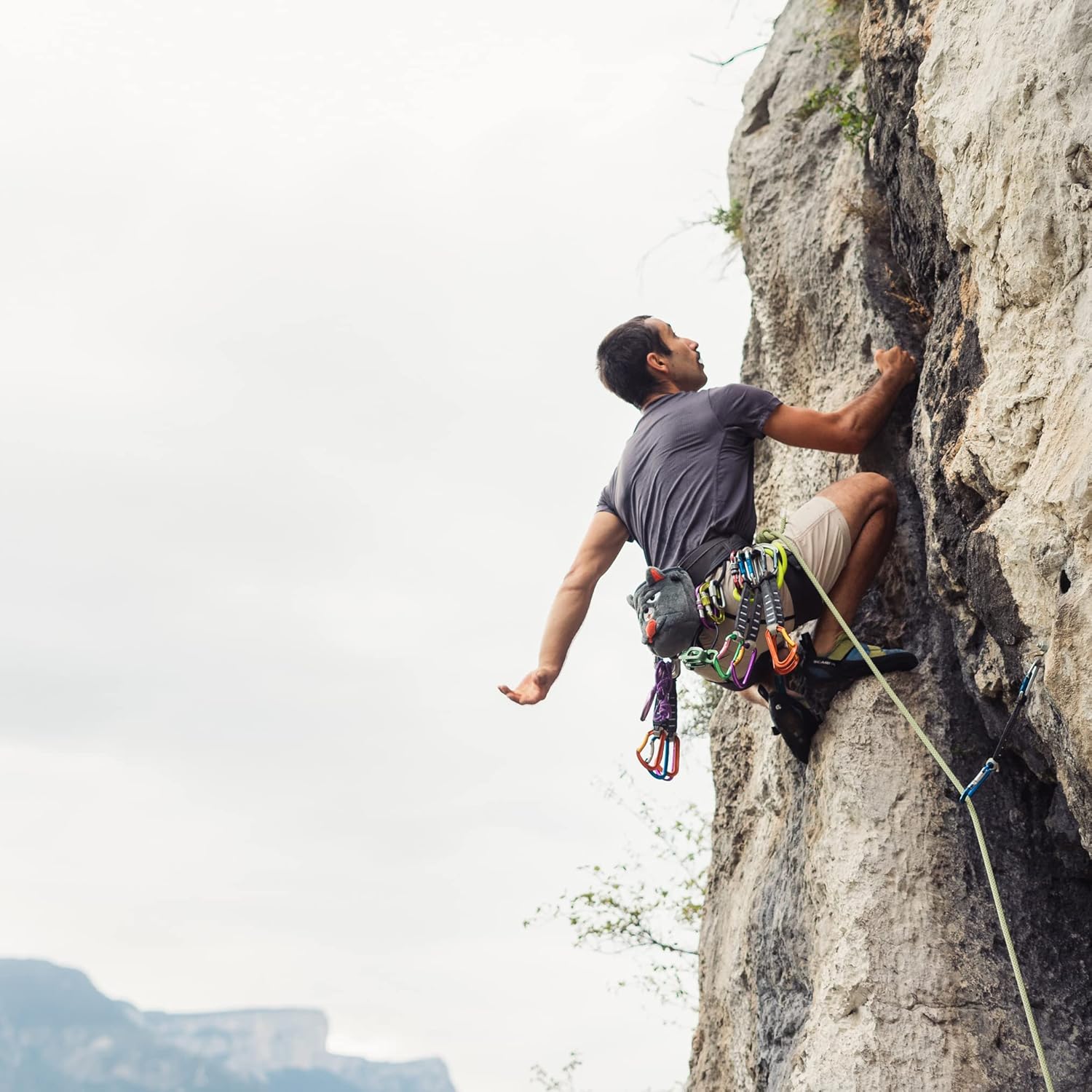Chalkbag for Rock Climbing - Cat Edition : Sports & Outdoors