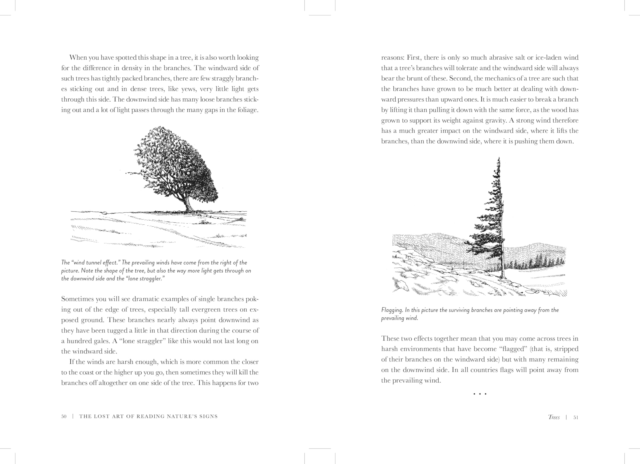 The Lost Art of Reading Nature's Signs: Use Outdoor Clues to Find Your Way, Predict the Weather, Locate Water, Track Animals--and Other Forgotten Skills
