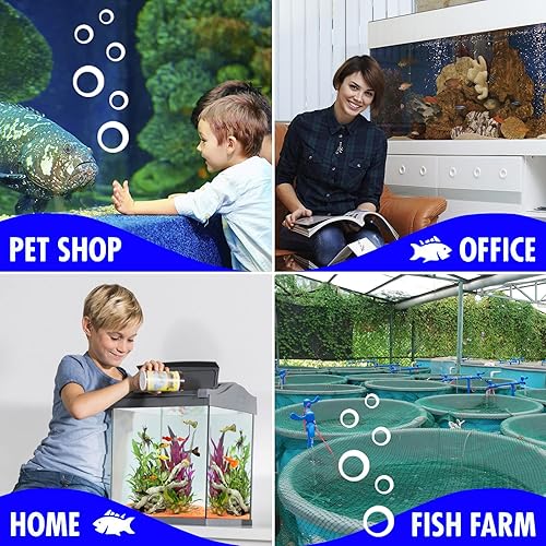 Miniatura 8 de Acuario Clarificador de Agua - Clowdy Water - Tratamiento de peceras