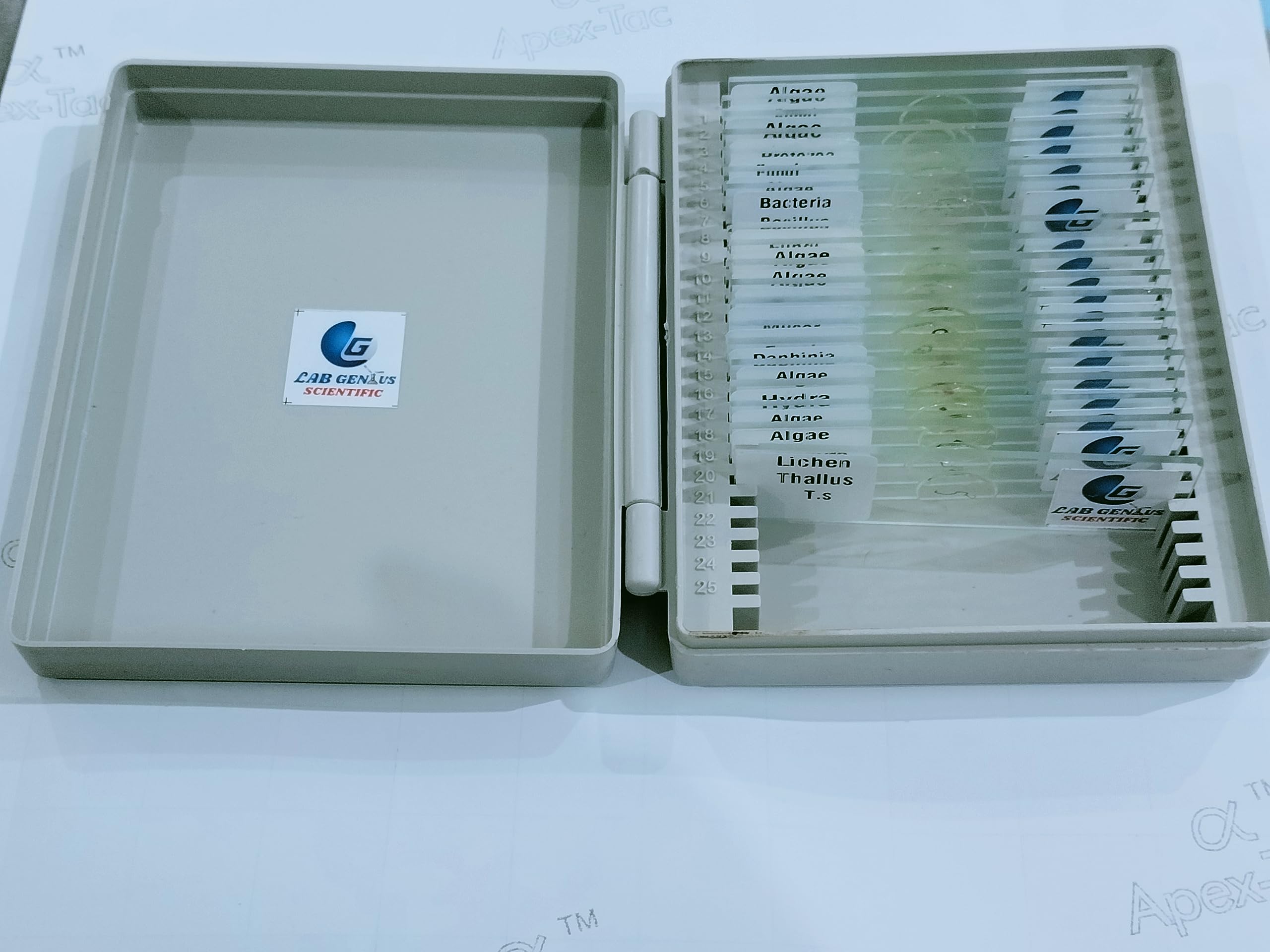 Labgenius Biological Common microoganism Permanent Prepared Slide Set of 20 (B0CD5XLMXQ) Amazon Price History, Amazon Price Tracker