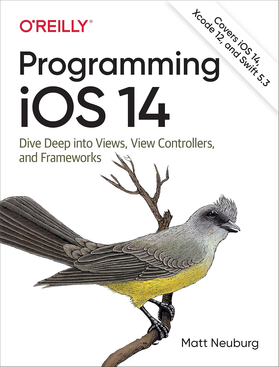 Programming iOS 14: Dive Deep into Views, View Controllers, and Frameworks      1st Edition, Kindle Edition
